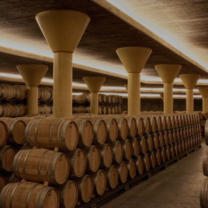 Wine in Madrid