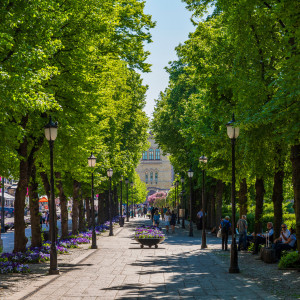 Tree-lined boulevard in Oslo filled with people walking and relaxing under bright green summer foliage.