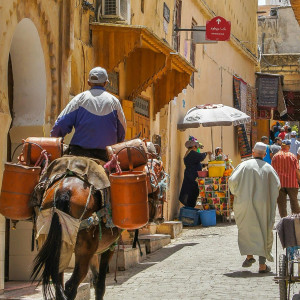 A busy medina alleyway where a man on a donkey carrying metal containers moves through a narrow street lined with shops, vibrant textiles, and locals walking under the warm, sand-colored buildings.