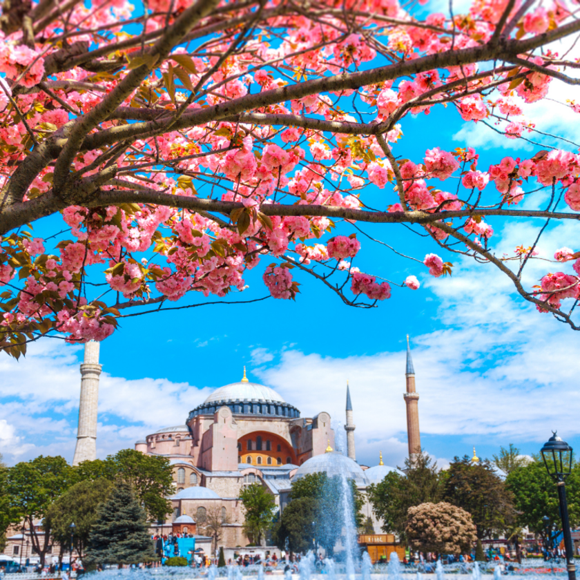 spring in Istanbul
