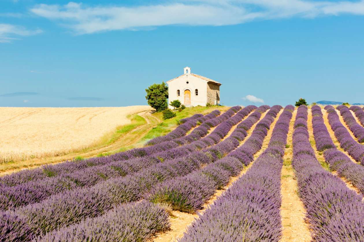 Three Days in Provence