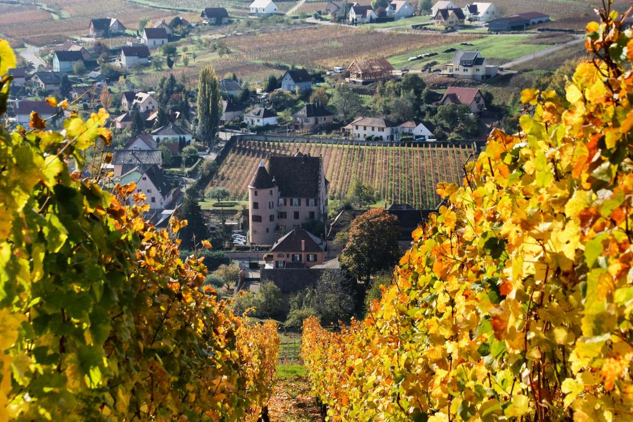 fall travel