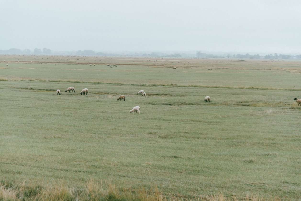 Normandy Private Tours from Bayeux and Mont Saint Michel tours