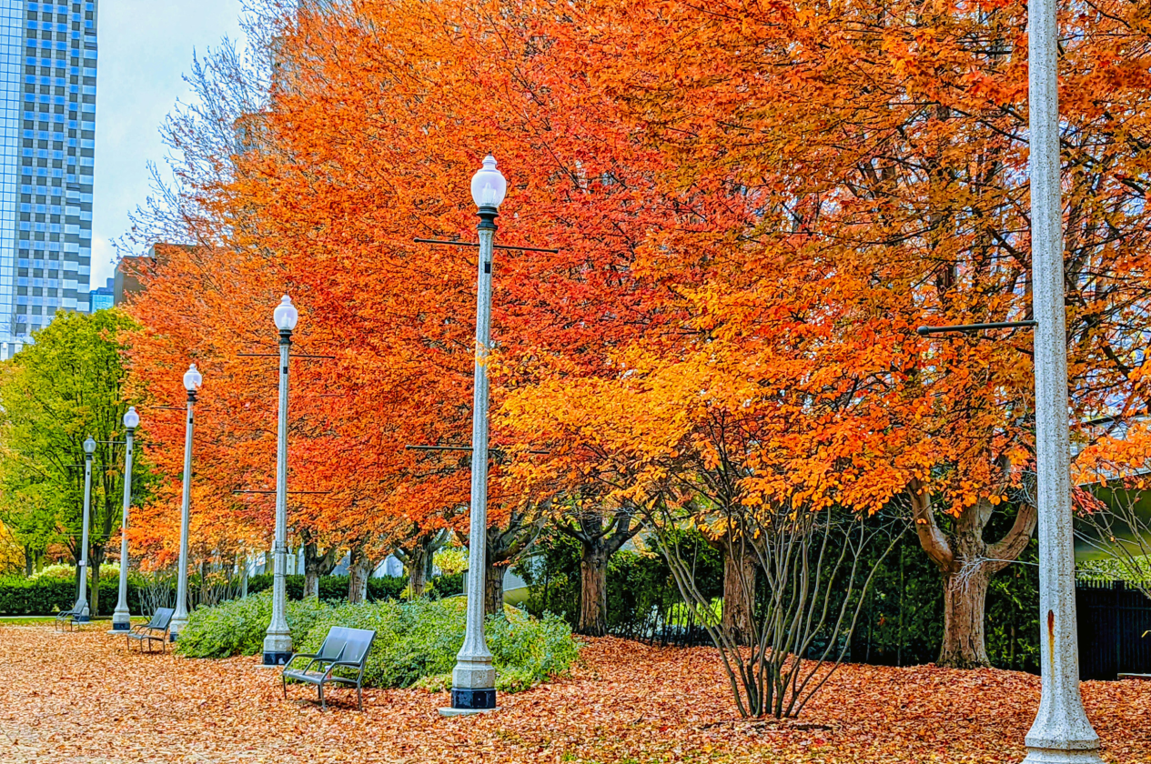 Chicago Private Walking Tours