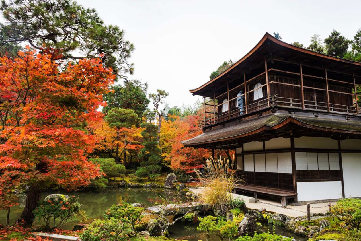Philosopher's Path Tour - Kyoto Philosophy & Religion - Context Tours -  Context Travel