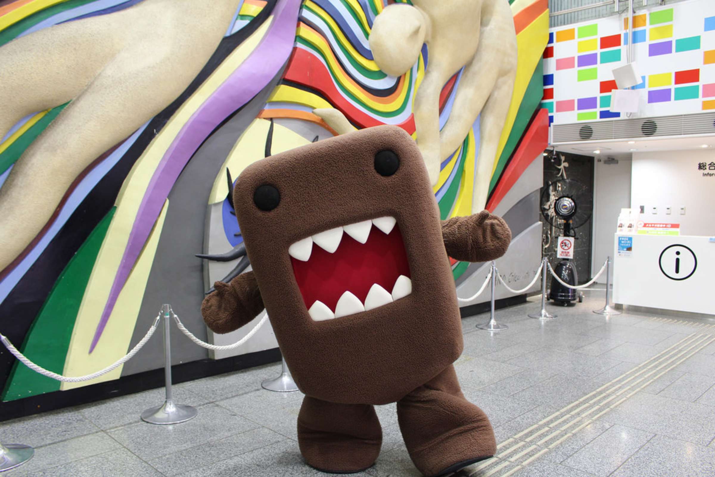 Only in Tokyo: a tour of Japan's pop-culture experiences – Lonely
