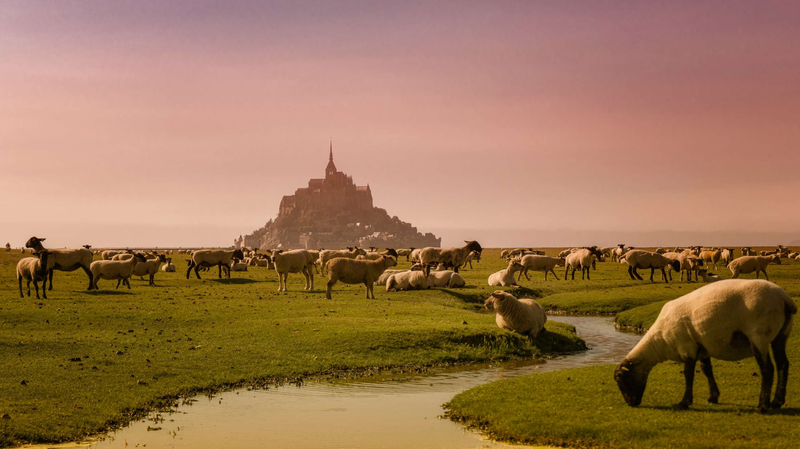 Normandy private tours