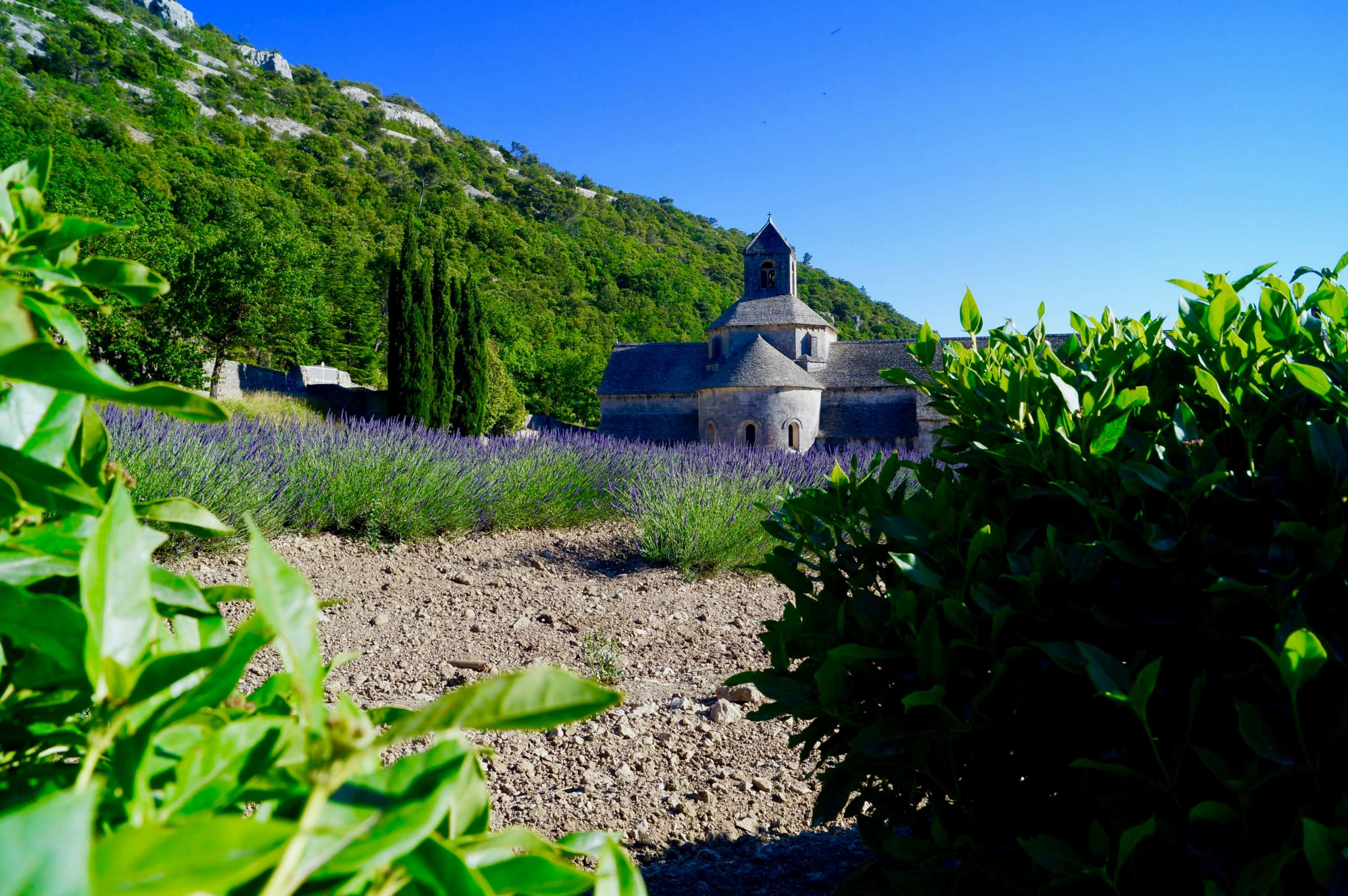 Provence private tours