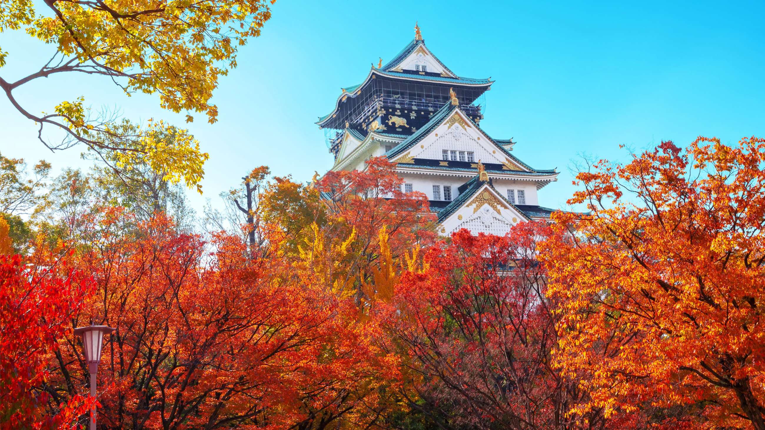 Osaka Private Tours and Osaka Small Group Tours