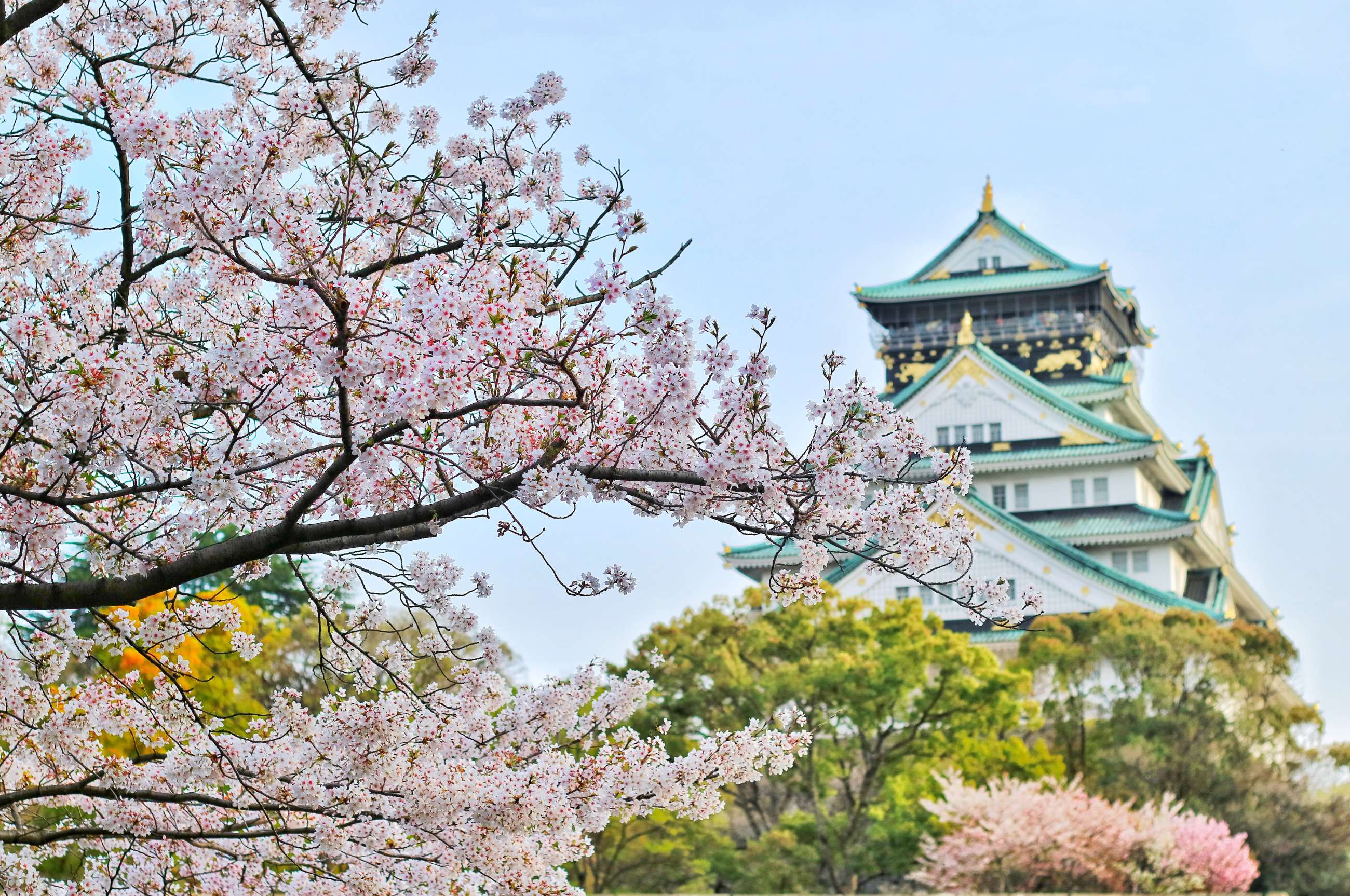 Osaka private walking tour