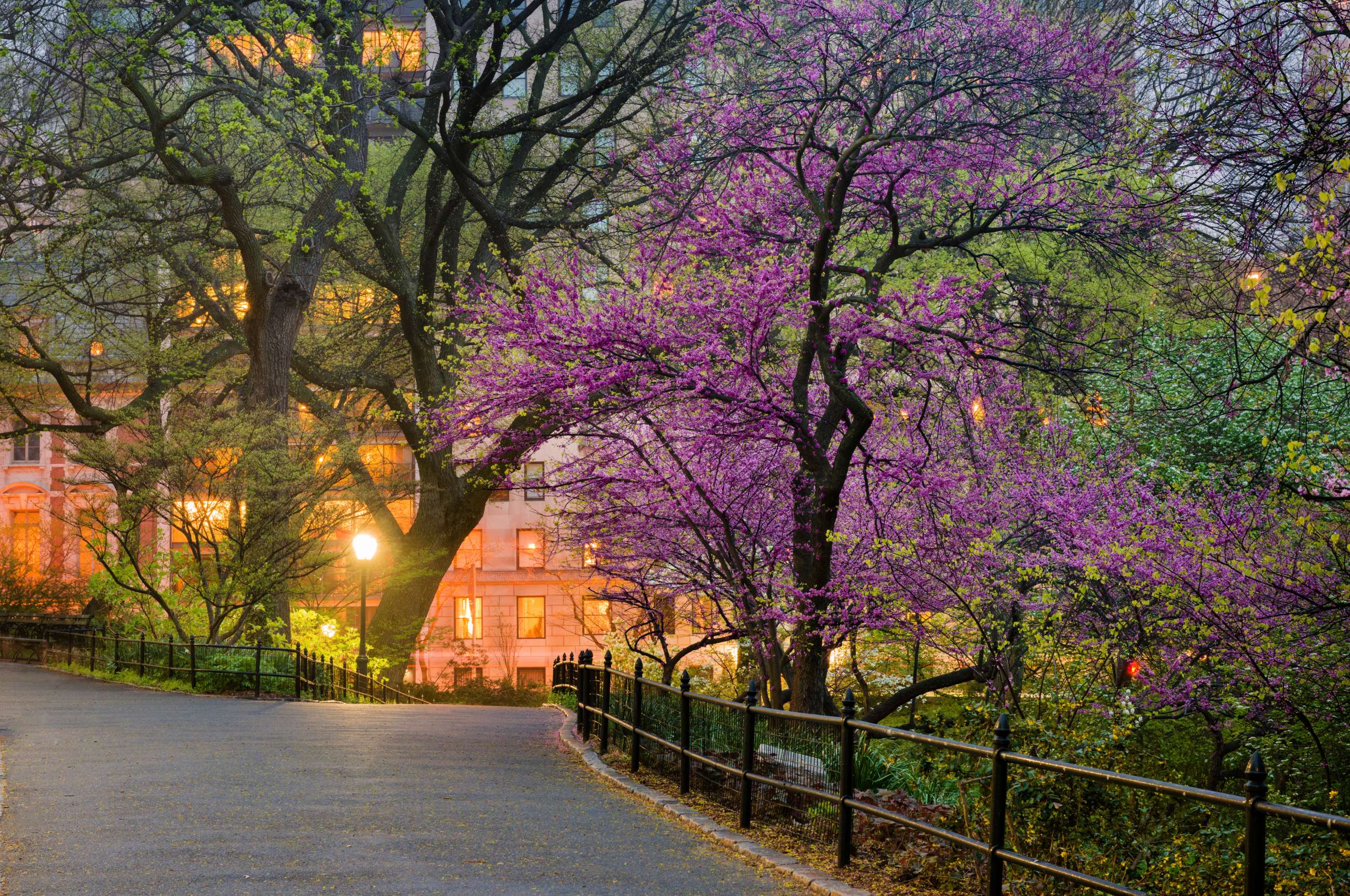 best new york city private walking tours