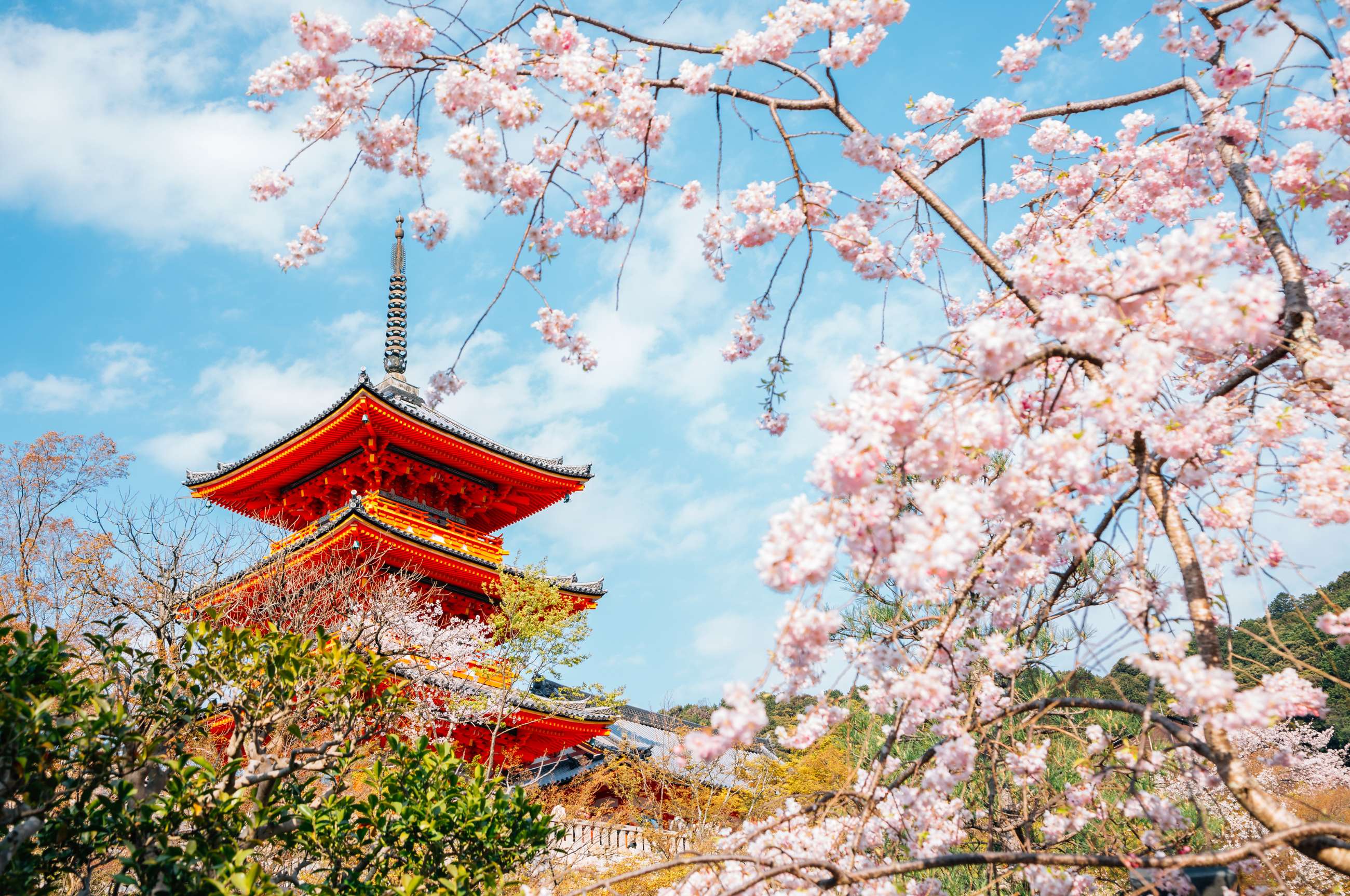 Kyoto Private Walking Tours