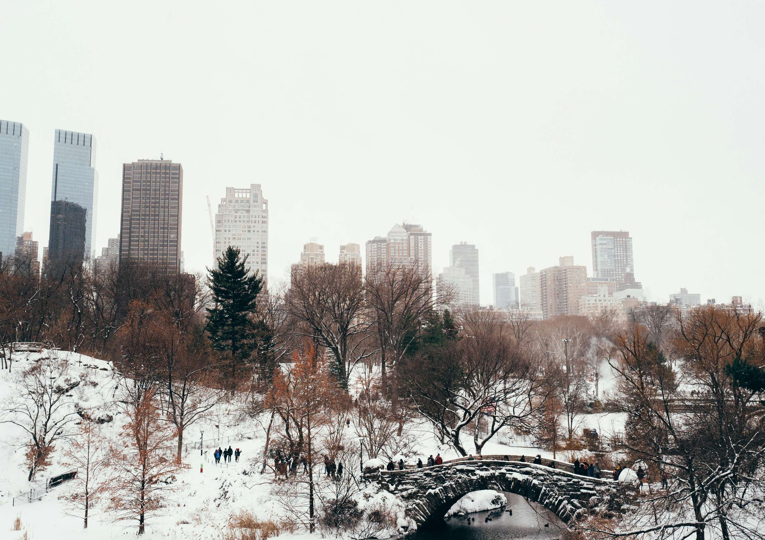 best new york city private walking tours