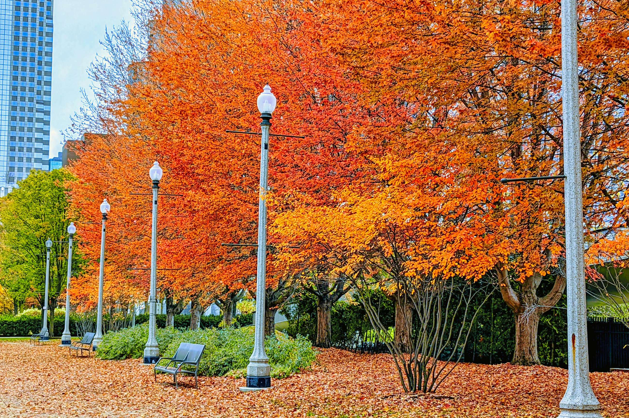 Chicago Private Walking Tours