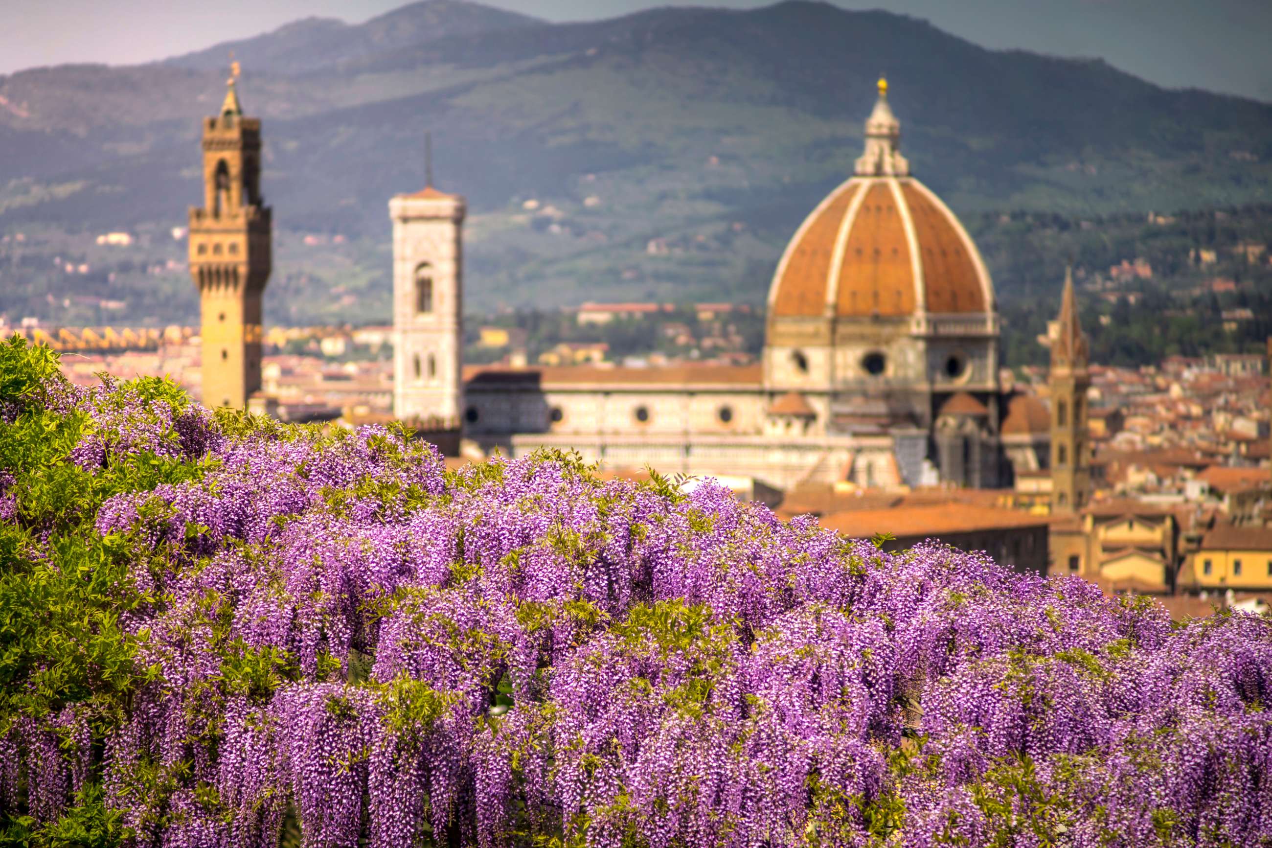 Florence Private Walking Tours