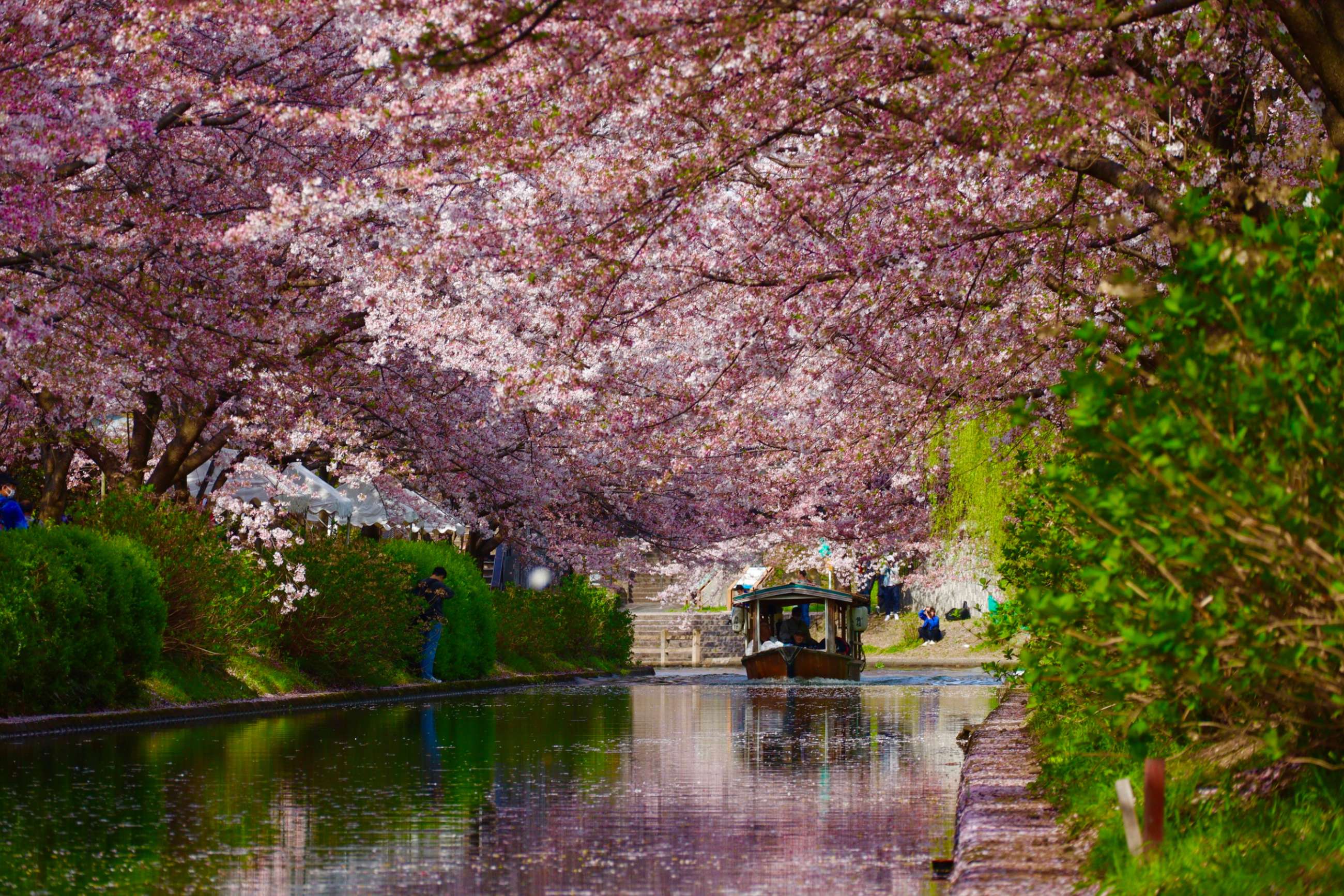 Kyoto Private Walking Tours