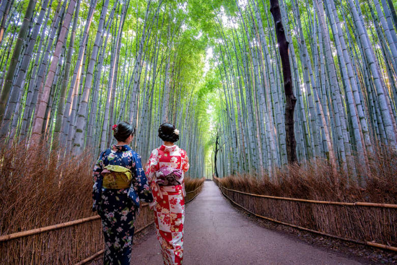 Half-Day Arashiyama Day Trip from Kyoto, with Tenryu-ji and the Bamboo Grove