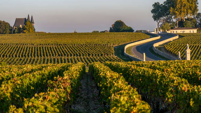 Full-Day Medoc VIP Wine Tasting Tour by Private Car