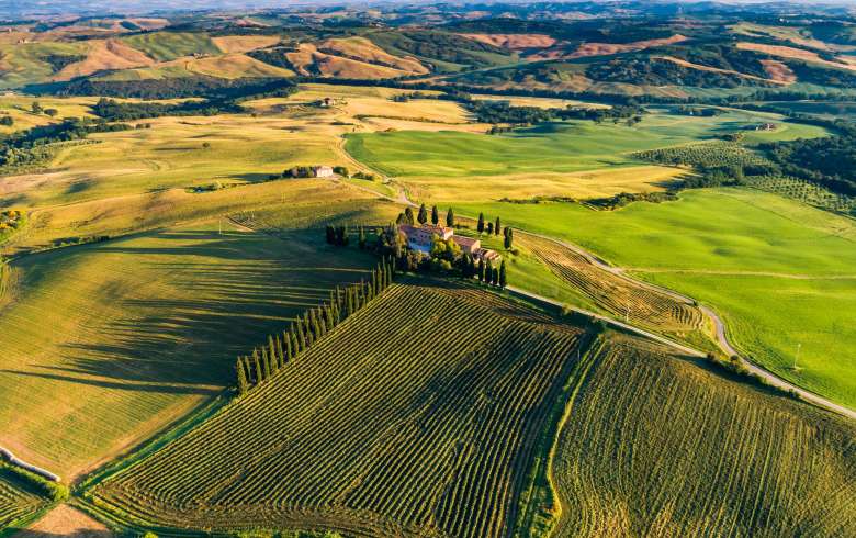 Full-Day Tuscany Day Trip from Siena with Wine Tasting