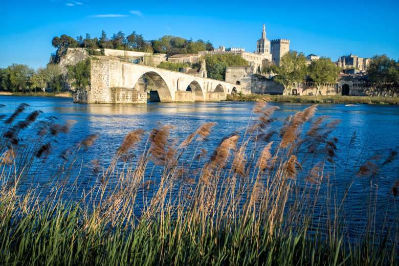 Introduction to Avignon Tour with the Papal Palace and the Pont d'Avignon and Skip-the-Line Tickets