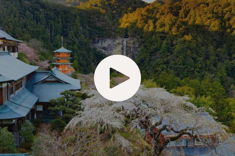 Japan's Kumano Kodo Pilgrimage Trail: What to Know Before Your Visit