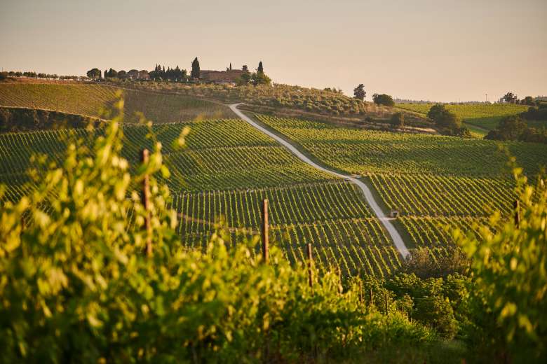 Full-Day Tuscany Day Trip from Florence with Wine Tasting