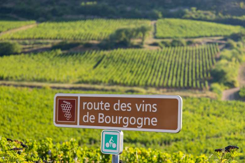 VIP Experience: Burgundy Full-Day Wine Tasting Tour with Lunch by Private Car