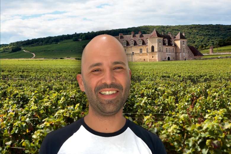 French Wine: Top Tips from a Sommelier