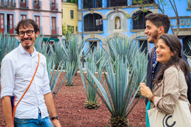 Mexico City Mezcal and Tequila Tasting Tour