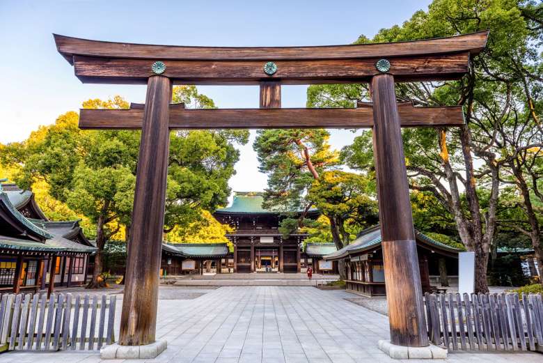 Tokyo Aesthetics and Architecture Tour, with Omotesando and Meiji Jingu - Spanish