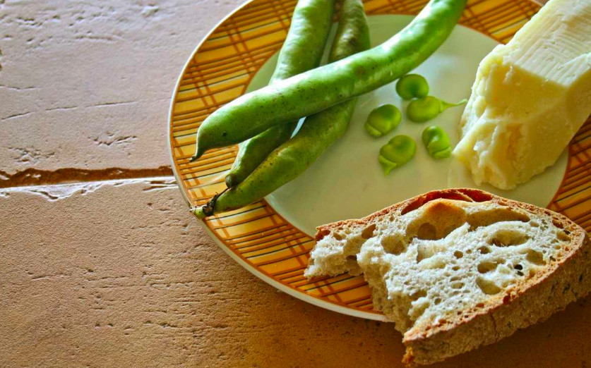 Fava beans and cheese