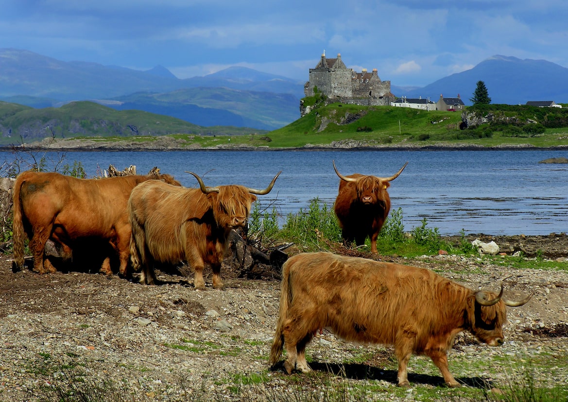 historic scotland castles to visit