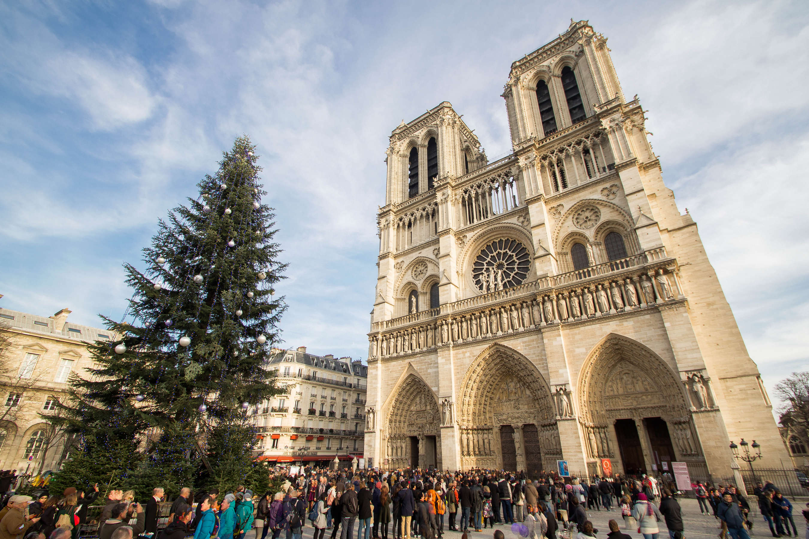 Notre Dame Cathedral with Christmas Tree