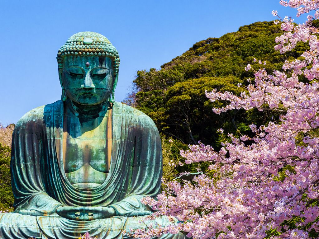 great buddha in Kamakura, surrounded by cherry blossoms on a sunny day