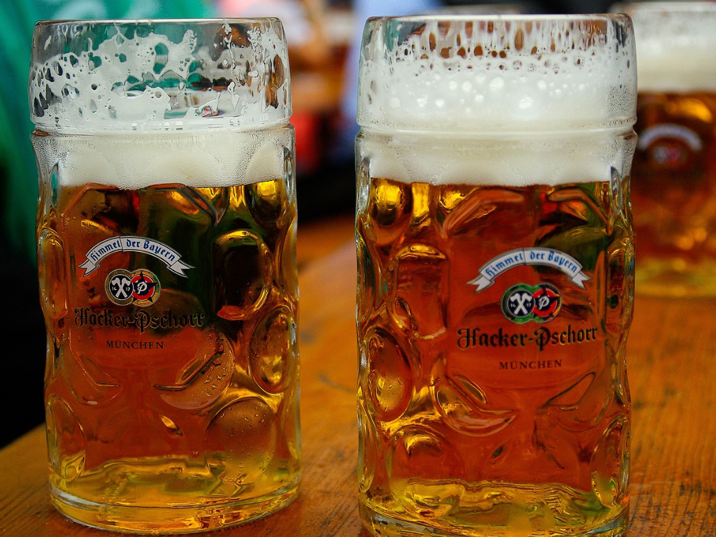 Two steins of Oktoberfest beer from the Hacker-Pschorr brewery