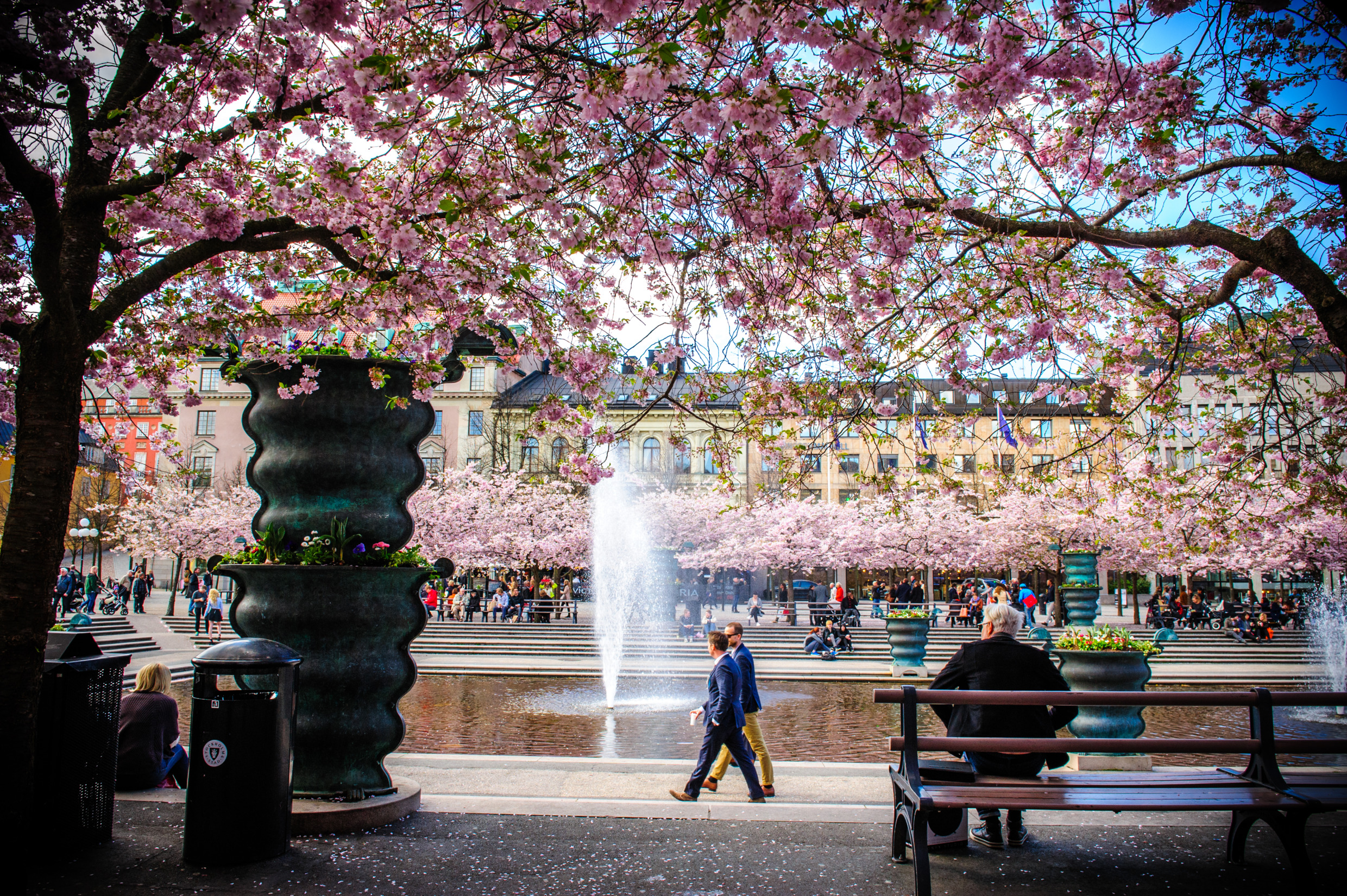 2025 travel in Stockholm