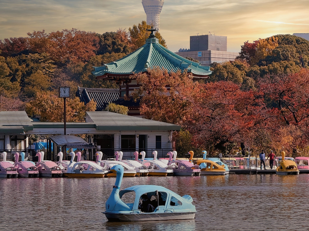 A family paddles in a swan boat on Shinobazu Pond as the sun sets, one of the many family and kid-friendly activities in Tokyo.