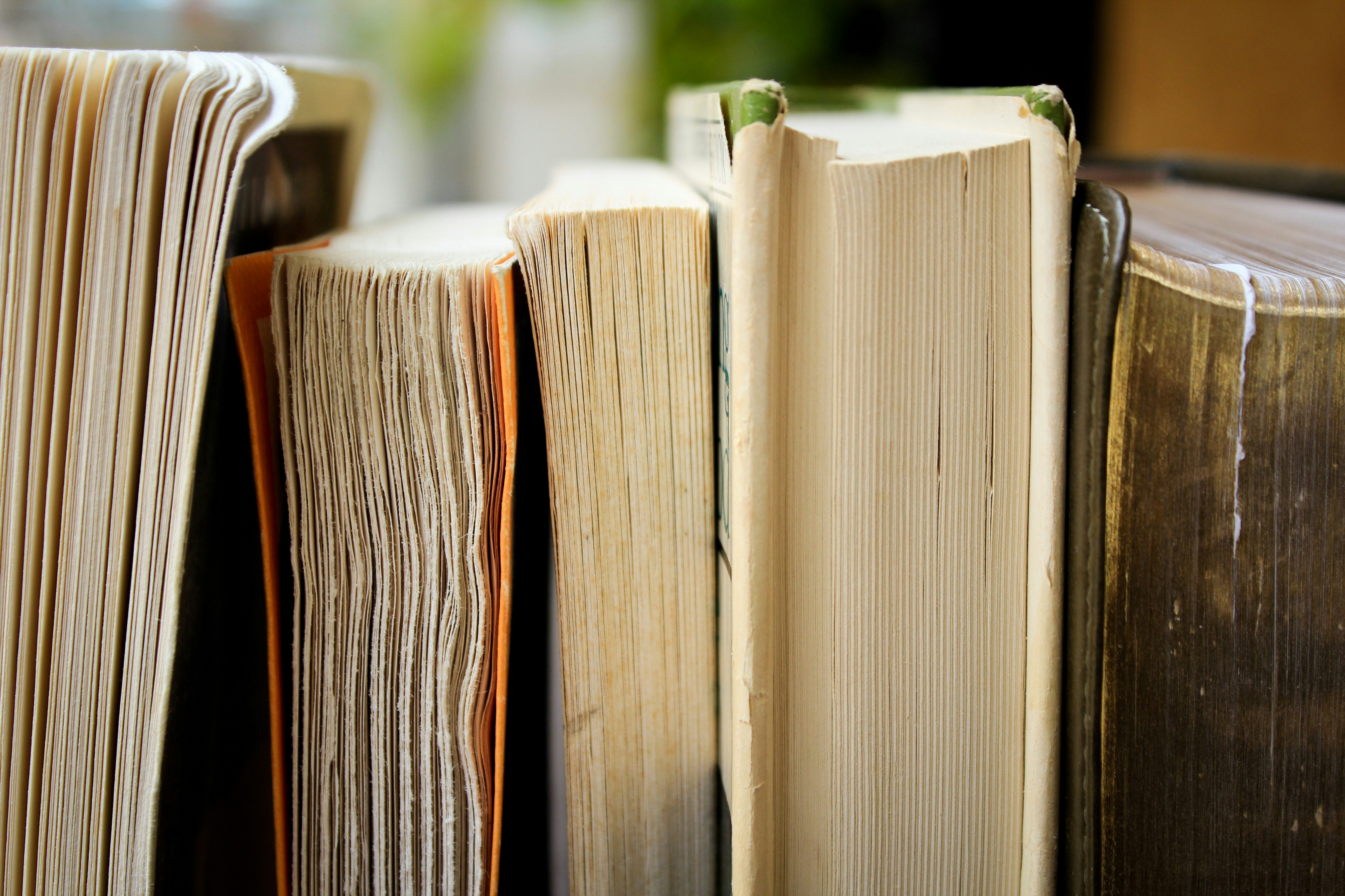 world book day 