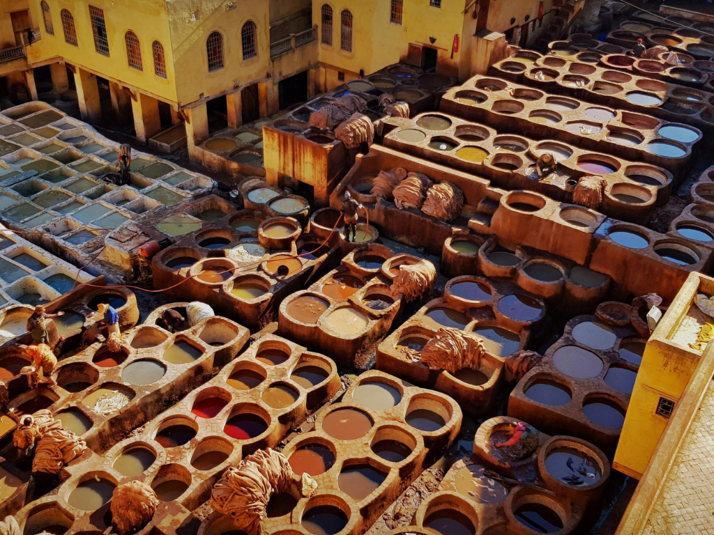 things to do in fes morocco