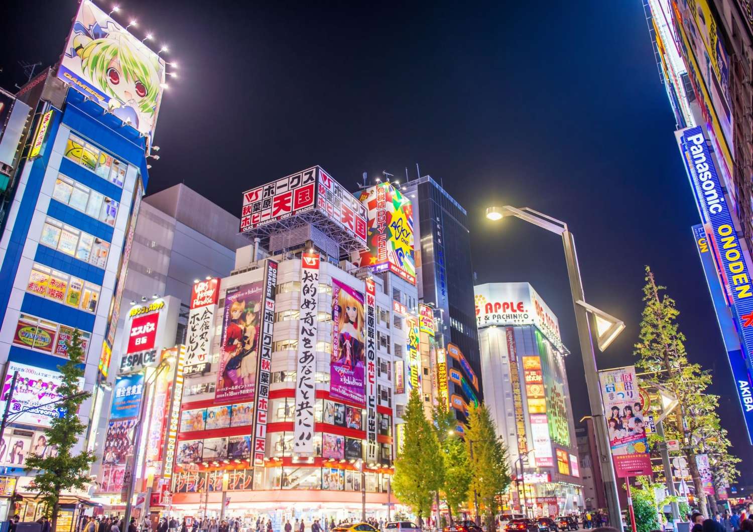 Akihabara  Tokyo Travel