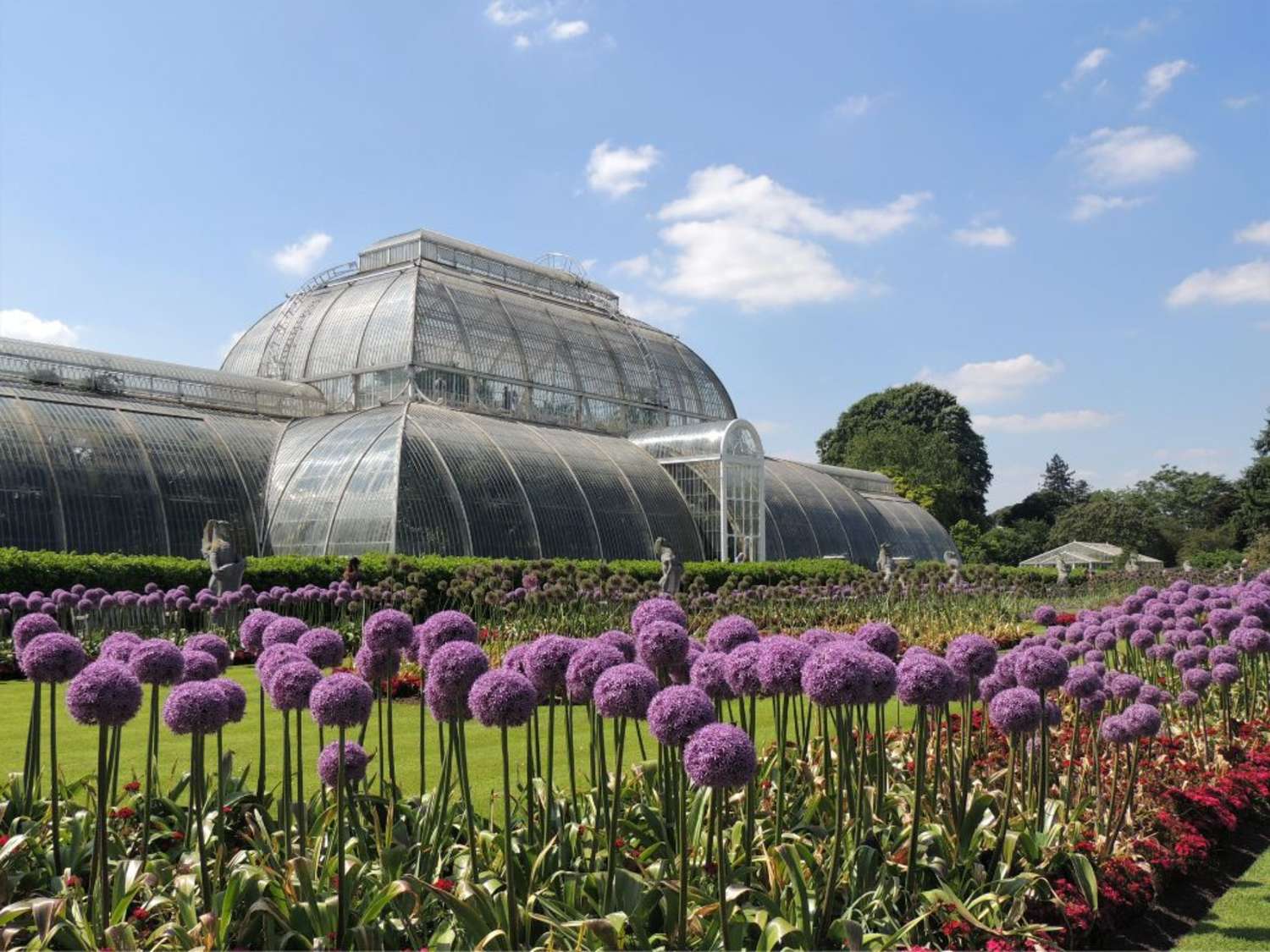 Royal Botanical Gardens Kew Set Tazza E Piattino In Porcellana Lavanda - Capacità 200ml, Regalo In Scatola