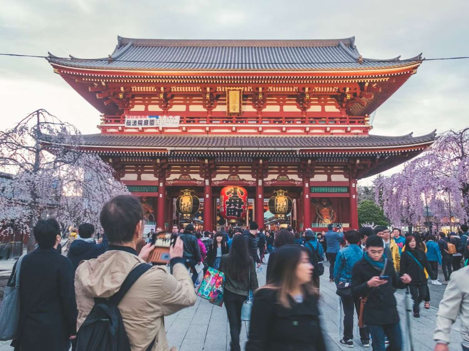 crowds with Cherry Blossoms in Tokyo