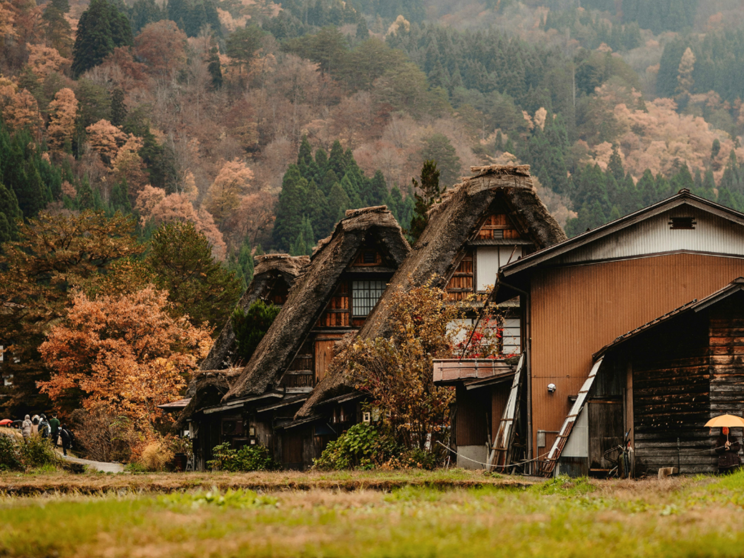 A steeply-pitched thatched-roof house, called gasshō-zukuri, in Japan
