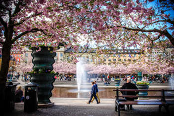 2025 travel in Stockholm